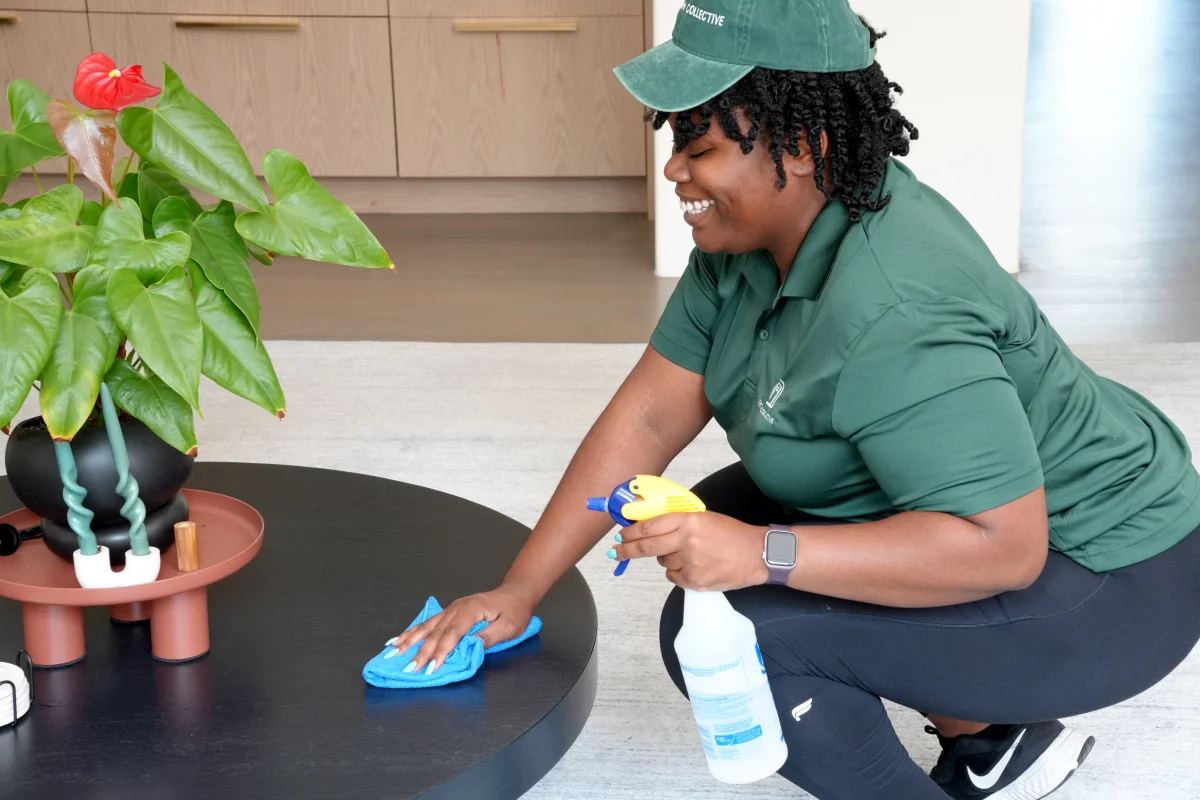 Toco Hills Home Cleaning